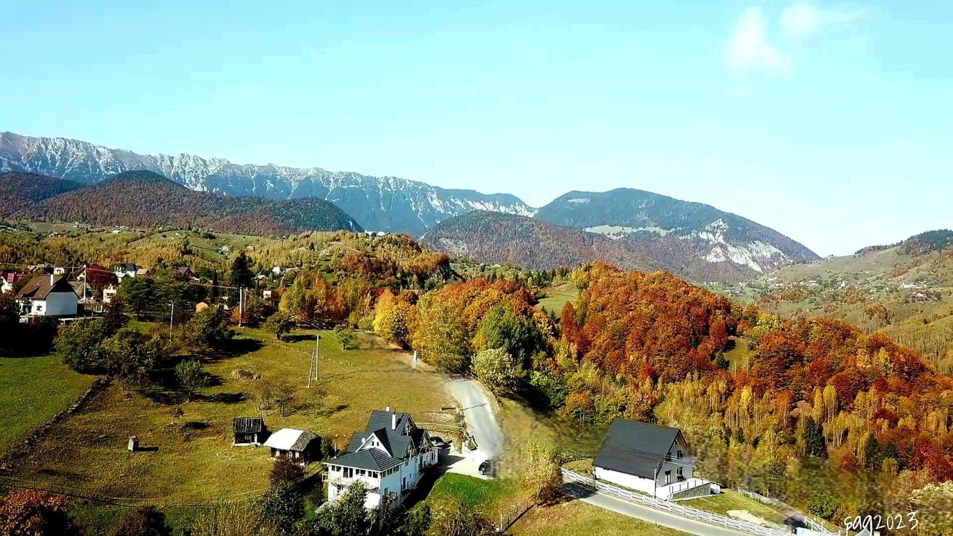 Villa Carpathia Magic -Adults Only Peştera Esterno foto