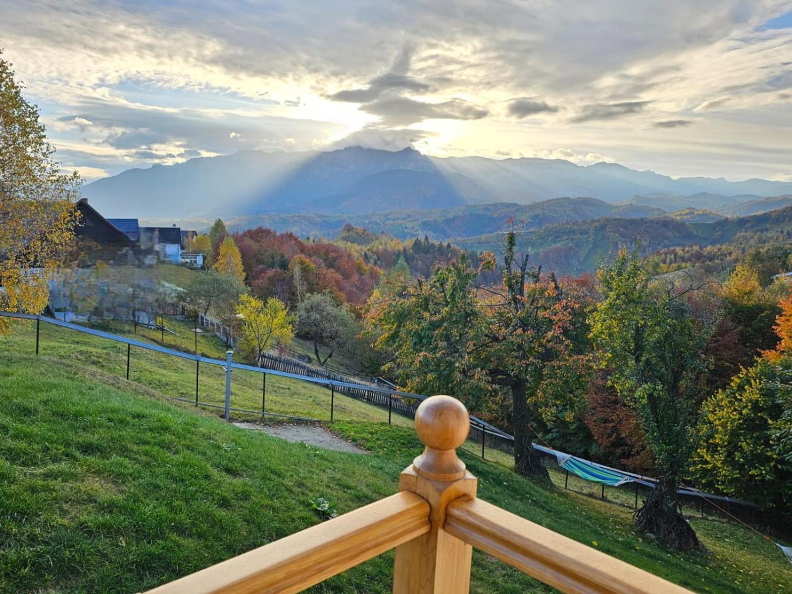 Villa Carpathia Magic -Adults Only Peştera Esterno foto